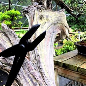 Tinyroots Heavy Duty Carbon Steel Jin Pliers. Perfect for Jin, and Also Great for Applying or Removing Bonsai Wire. 210 mm…