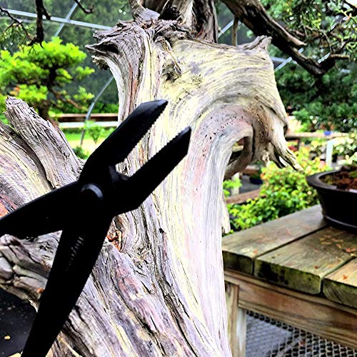 Tinyroots Heavy Duty Carbon Steel Jin Pliers. Perfect for Jin, and Also Great for Applying or Removing Bonsai Wire. 210 mm…