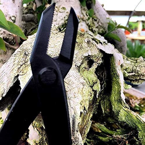 Tinyroots Heavy Duty Carbon Steel Jin Pliers. Perfect for Jin, and Also Great for Applying or Removing Bonsai Wire. 210 mm…