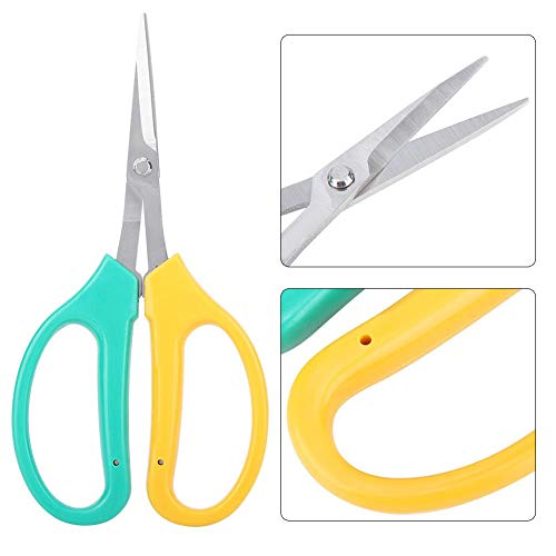 Stainless Steel Scissor, Curved Blade Grape Pruning Shears Fruit Branch Picking Scissors Bonsai Shears for Bonsai,Fruit Trees, Gardens,etc