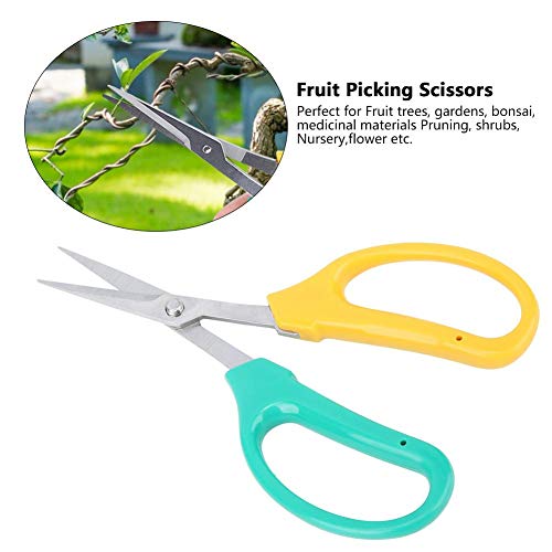 Stainless Steel Scissor, Curved Blade Grape Pruning Shears Fruit Branch Picking Scissors Bonsai Shears for Bonsai,Fruit Trees, Gardens,etc