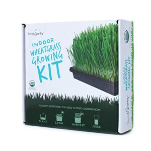 Organic Wheatgrass Growing Starter Kit - Grow & Juice Wheat Grass - Includes Non-GMO, Organic Wheatgrass Seeds - for Healthy Wheatgrass Shots, Home, Garden, and Cat Grass