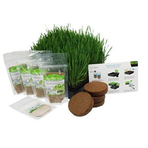 Organic Wheatgrass Growing Starter Kit - Grow & Juice Wheat Grass - Includes Non-GMO, Organic Wheatgrass Seeds - for Healthy Wheatgrass Shots, Home, Garden, and Cat Grass