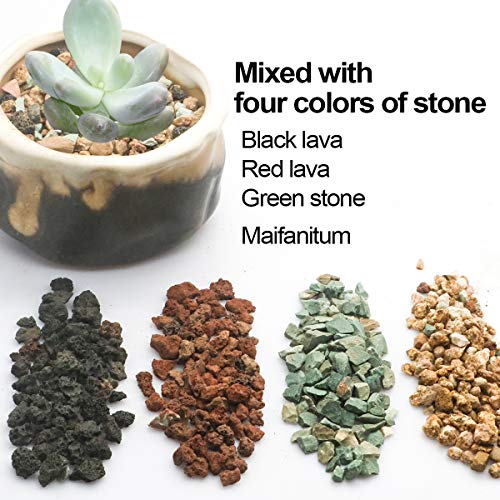 Mix Horticultural Lava Rock Pebbles Pumice Potting Soil Amendment Succulent Cactus Bonsai Gritty Rock Decorative Gravel Plant Drainage Volcanic Rock for Terrarium Fairy Gardening Top Dressing 2.2lb