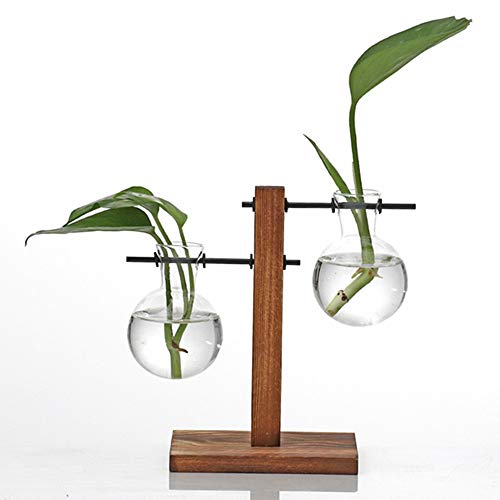 Kingbuy Hydroponic Glass Vase Vintage Desktop Plant Terrarium Planter Bulb Vase Water Planting Propagation Vase Planters Hydroponics Plants with Retro Wooden Stand Home Garden.