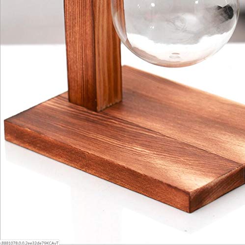 Kingbuy Hydroponic Glass Vase Vintage Desktop Plant Terrarium Planter Bulb Vase Water Planting Propagation Vase Planters Hydroponics Plants with Retro Wooden Stand Home Garden.