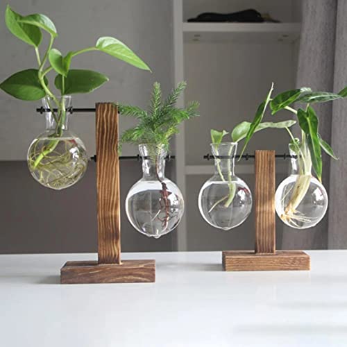 Kingbuy Hydroponic Glass Vase Vintage Desktop Plant Terrarium Planter Bulb Vase Water Planting Propagation Vase Planters Hydroponics Plants with Retro Wooden Stand Home Garden.