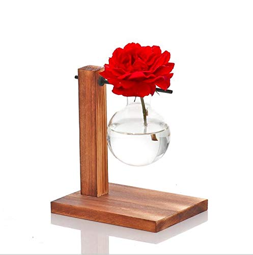 Kingbuy Hydroponic Glass Vase Vintage Desktop Plant Terrarium Planter Bulb Vase Water Planting Propagation Vase Planters Hydroponics Plants with Retro Wooden Stand Home Garden.