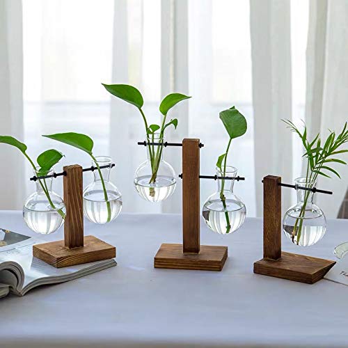 Kingbuy Hydroponic Glass Vase Vintage Desktop Plant Terrarium Planter Bulb Vase Water Planting Propagation Vase Planters Hydroponics Plants with Retro Wooden Stand Home Garden.