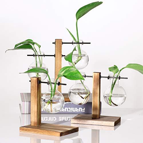 Kingbuy Hydroponic Glass Vase Vintage Desktop Plant Terrarium Planter Bulb Vase Water Planting Propagation Vase Planters Hydroponics Plants with Retro Wooden Stand Home Garden.