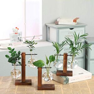 Kingbuy Hydroponic Glass Vase Vintage Desktop Plant Terrarium Planter Bulb Vase Water Planting Propagation Vase Planters Hydroponics Plants with Retro Wooden Stand Home Garden.