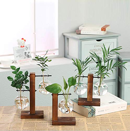 Kingbuy Hydroponic Glass Vase Vintage Desktop Plant Terrarium Planter Bulb Vase Water Planting Propagation Vase Planters Hydroponics Plants with Retro Wooden Stand Home Garden.