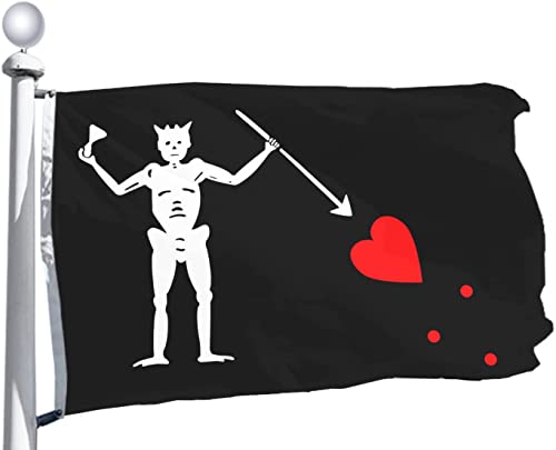 Rhungift Double Sides Pirate Edward Teach Flag Large 3x5 Ft, Moderate-Outdoor 100D Polyester,Canvas Header and Double Stitched- Bloody flags BlackBeard Halloween Flag