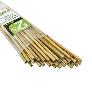 mininfa natural bamboo stakes 2 feet, eco-friendly garden stakes, plant stakes supports climbing for tomatoes, trees, beans, 30 pack