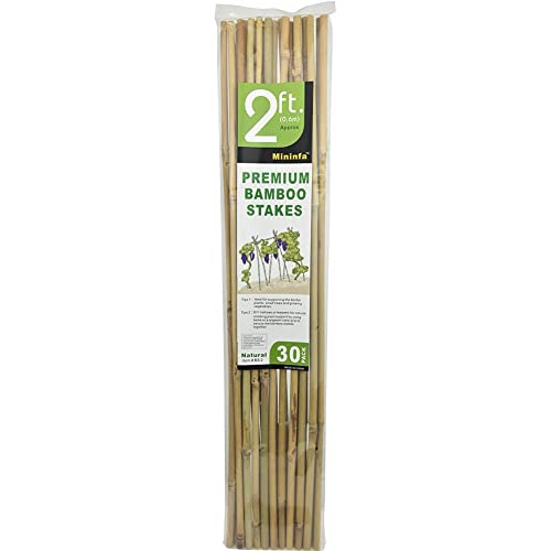 Mininfa Natural Bamboo Stakes 2 Feet, Eco-Friendly Garden Stakes, Plant Stakes Supports Climbing for Tomatoes, Trees, Beans, 30 Pack