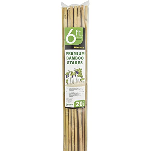Mininfa Natural Bamboo Stakes 6 Feet, Eco-Friendly Garden Stakes, Plant Stakes Supports Climbing for Tomatoes, Trees, Beans, 20 Pack