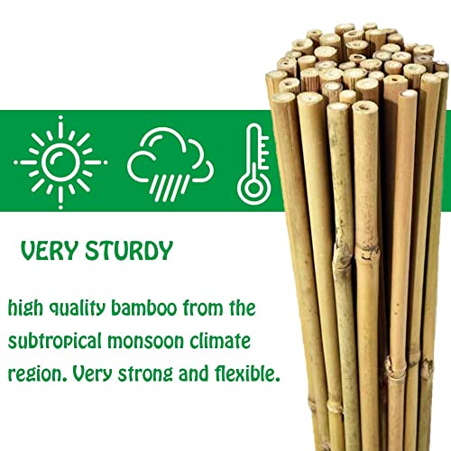 Mininfa Natural Bamboo Stakes 6 Feet, Eco-Friendly Garden Stakes, Plant Stakes Supports Climbing for Tomatoes, Trees, Beans, 20 Pack