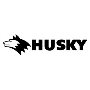 Husky Utility Blades (10-Piece)