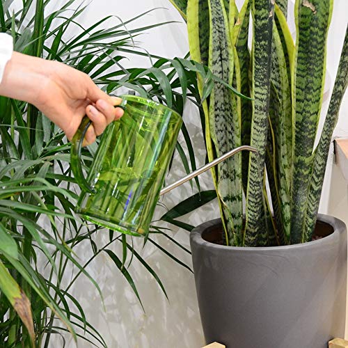 Nerseki 1 Litre/ 35 OZ Long Spout Watering Can for Succulents Bonsai Catus Plants Indoor Outdoor (Green)