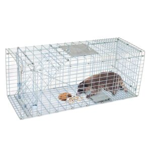 oteymart live animal trap cage catch release humane rodent cage with handle metal steel for rabbits, stray cat, squirrel, raccoon, mole, gopher, chicken, opossum (32" x 12" x 12")