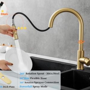 Havin Gold Kitchen Faucet with Pull Down Sprayer, High Arc Stainless Steel Material, with cUPC Ceramic Cartridge,with 10" Deck Plate,Fit for 1 or 3 Holes Kitchen Sink or Laundry Sink,Brushed Gold