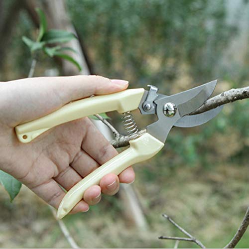 AKOAK 1 Pack Gardening Trimmers, Scissors, Fruit Trees, Branches, Flowers, Plant Cutters, Bonsai Scissors, Grafting, Gardening Hand Tools