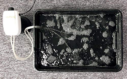 DWC Cloner Rooting Recirculating System 24 Site Cutting Clone and Seeding Root 2 in 1 Deep Water Cloner 24 Site with Clear Humidity Propagation Dome (Black)