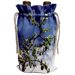 3drose susans zoo crew bonsai - bonsai portulacaria afra tree 2 - wine bag (wbg_182077_1)