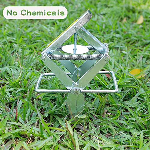 Garsum Mole Traps That Kill, EasySet Vole Gopher Trap for Lawns, Reusable Quick and Clean Kill,1 Eliminator Scissor Trap