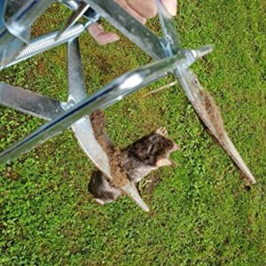 Garsum Mole Traps That Kill, EasySet Vole Gopher Trap for Lawns, Reusable Quick and Clean Kill,1 Eliminator Scissor Trap