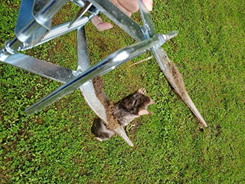 Garsum Mole Traps That Kill, EasySet Vole Gopher Trap for Lawns, Reusable Quick and Clean Kill,1 Eliminator Scissor Trap