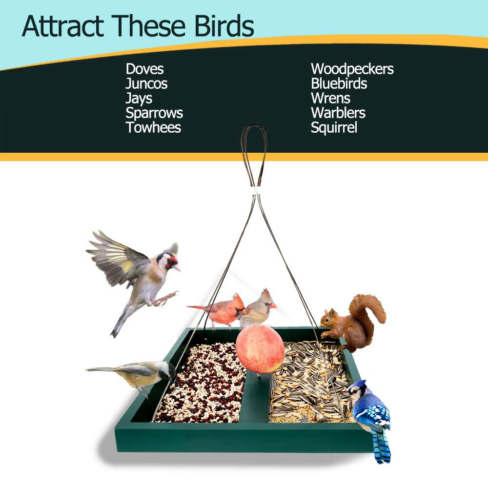 Solution4Patio Homes Garden Platform Bird Feeder for Outside, Large Hanging Mesh Tray Chipmunks/Squirrel Feeder, Maximum Bird Viewing, Large Capacity, Easy to Clean & Refill, B116A00