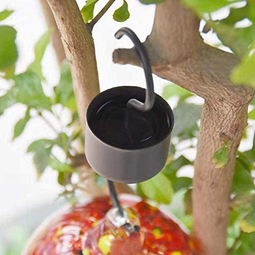 Hummingbird Feeder Ant Moat, Hummingbird and Oriole Feeder Hanging Ant Guard, Feeder Accessory Hooks - 2 Packs