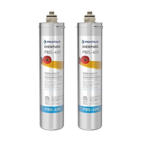 Everpure PBS-400 Water Filter Replacement Cartridge (EV9270-86) (Pack of 2)