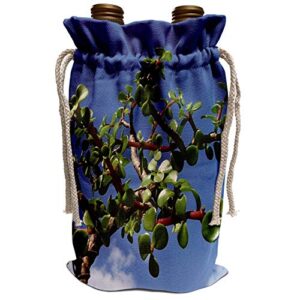 3drose susans zoo crew bonsai - bonsai portulacaria afra tree 1 - wine bag (wbg_182076_1)