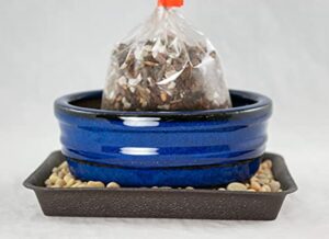 6" oval blue glazed bonsai/succulent pot + soil + tray + rock + mesh kit