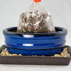 6" Oval Blue Glazed Bonsai/Succulent Pot + Soil + Tray + Rock + Mesh Kit