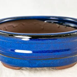 6" Oval Blue Glazed Bonsai/Succulent Pot + Soil + Tray + Rock + Mesh Kit
