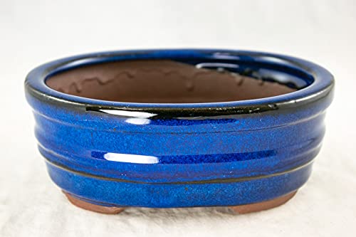 6" Oval Blue Glazed Bonsai/Succulent Pot + Soil + Tray + Rock + Mesh Kit