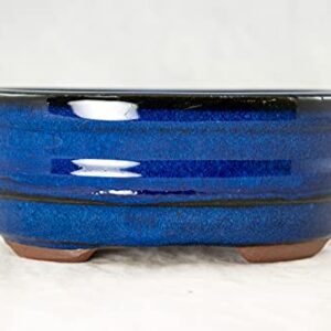 6" Oval Blue Glazed Bonsai/Succulent Pot + Soil + Tray + Rock + Mesh Kit