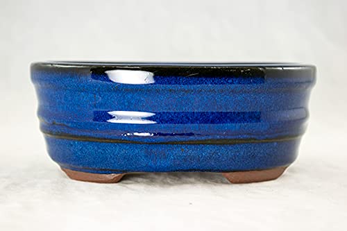 6" Oval Blue Glazed Bonsai/Succulent Pot + Soil + Tray + Rock + Mesh Kit