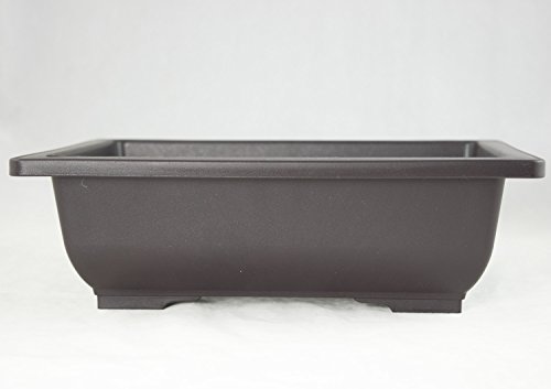 2 Rectangular Plastic Bonsai/Cactus & Succulent Pot 10"x 7.5"x 3" Dark Brown