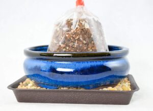 6" oval dark blue glazed bonsai/succulent pot + soil + tray + rock + mesh kit
