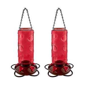 Urban Deco Large Capacity Hummingbird Feeders for Outdoors Hanging Wild Bird Feeders with 5 Nectar Bird Feeding Station 30 OZ Red Glass Bird Feeder - (Pack of 2)