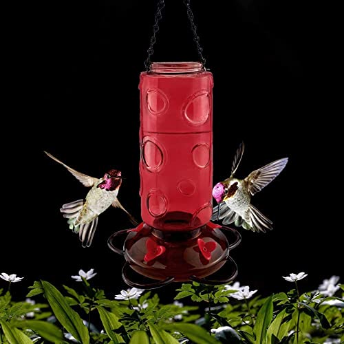 Urban Deco Large Capacity Hummingbird Feeders for Outdoors Hanging Wild Bird Feeders with 5 Nectar Bird Feeding Station 30 OZ Red Glass Bird Feeder - (Pack of 2)