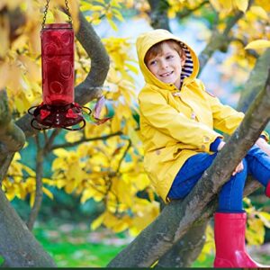 Urban Deco Large Capacity Hummingbird Feeders for Outdoors Hanging Wild Bird Feeders with 5 Nectar Bird Feeding Station 30 OZ Red Glass Bird Feeder - (Pack of 2)