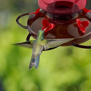 Urban Deco Large Capacity Hummingbird Feeders for Outdoors Hanging Wild Bird Feeders with 5 Nectar Bird Feeding Station 30 OZ Red Glass Bird Feeder - (Pack of 2)