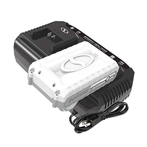 Snow Joe 24VCHRG-DPC 24V iON+ Dual Port Quick Charge Docking Station, Charger, Black