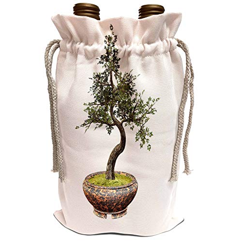 3dRose Boehm Graphics Bonsai - A cherry tree bonsai with green leaves - Wine Bag (wbg_179993_1)