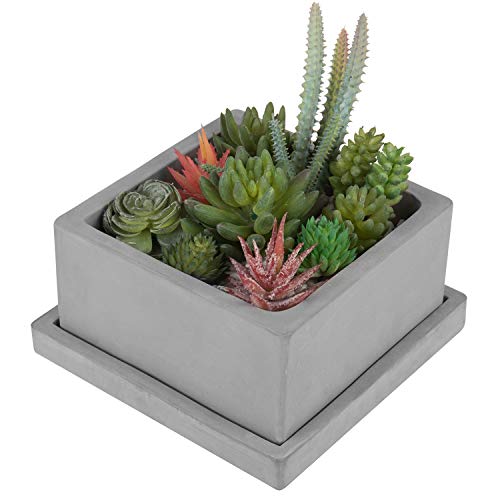 MyGift Modern Gray Concrete Square Planter - Succulent Plant Pot with Bottom Drainage Hole and Removable Drip Tray Saucer